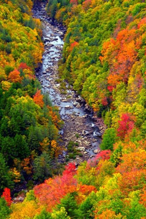 Blackwater Falls State Park Lodge Дейвис Экстерьер фото